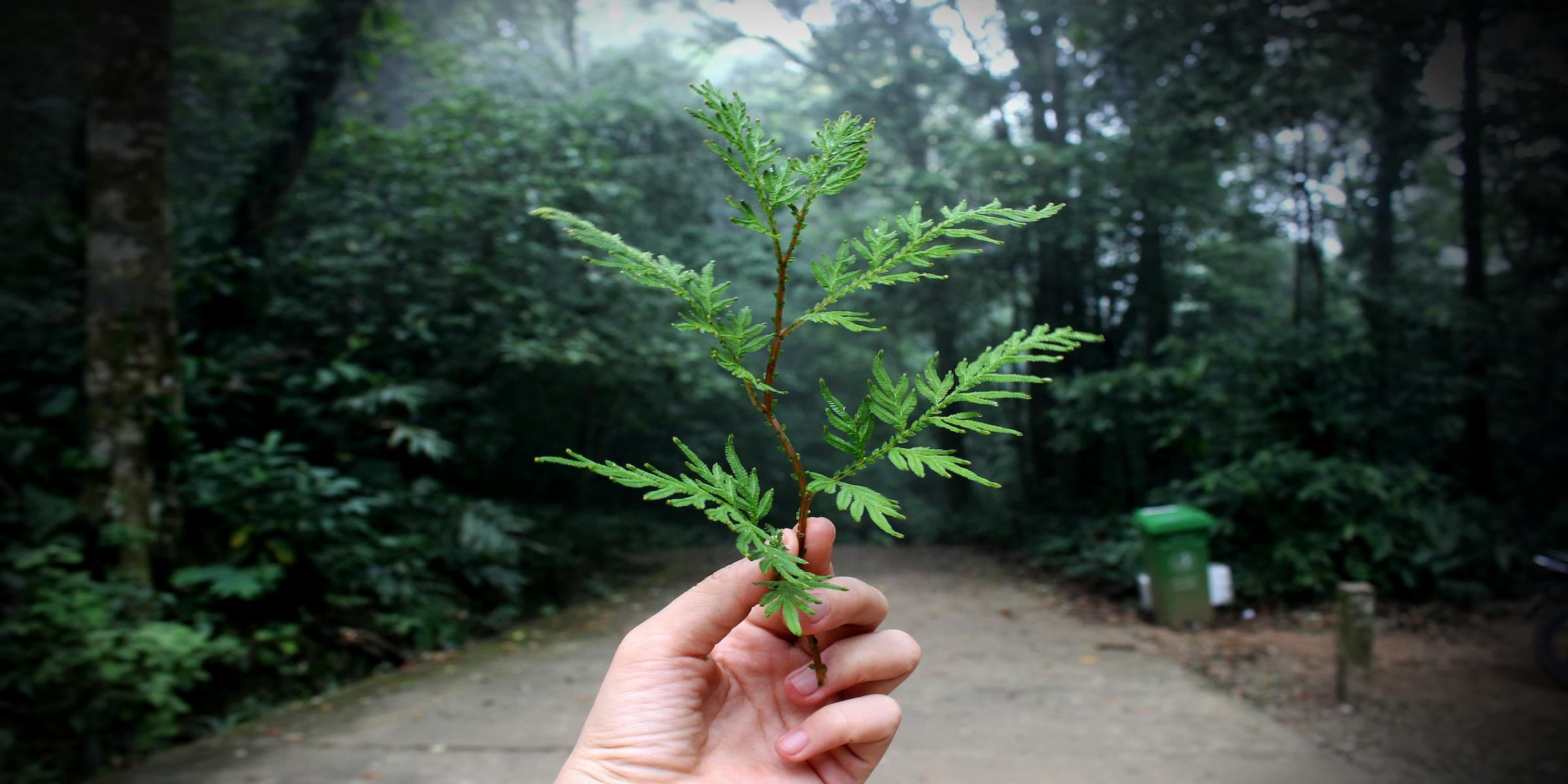 Faut-il revenir au naturel ?