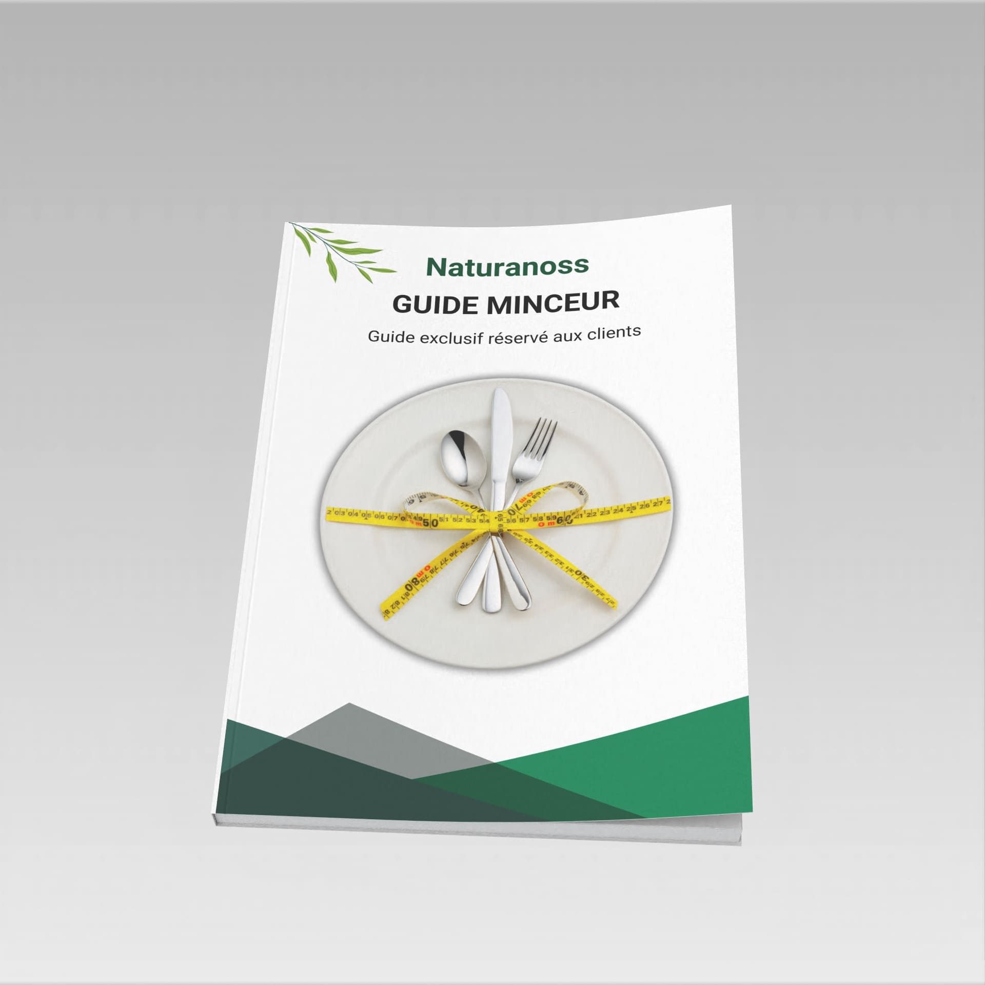 Guide minceur NAT SLIM